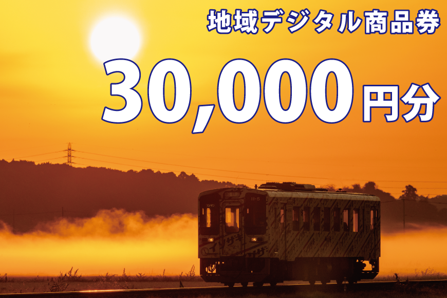 地域デジタル商品券