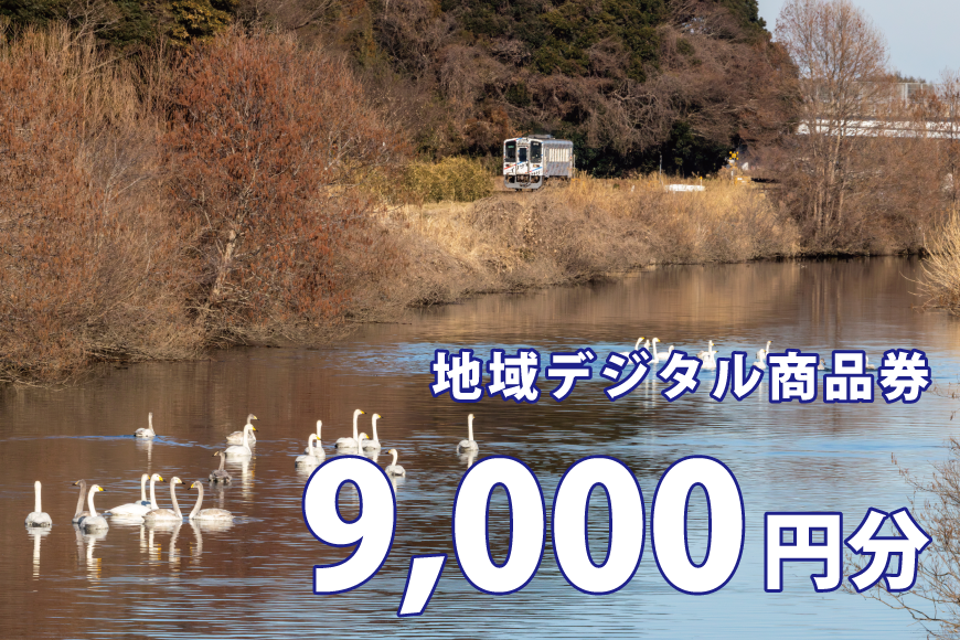 地域デジタル商品券