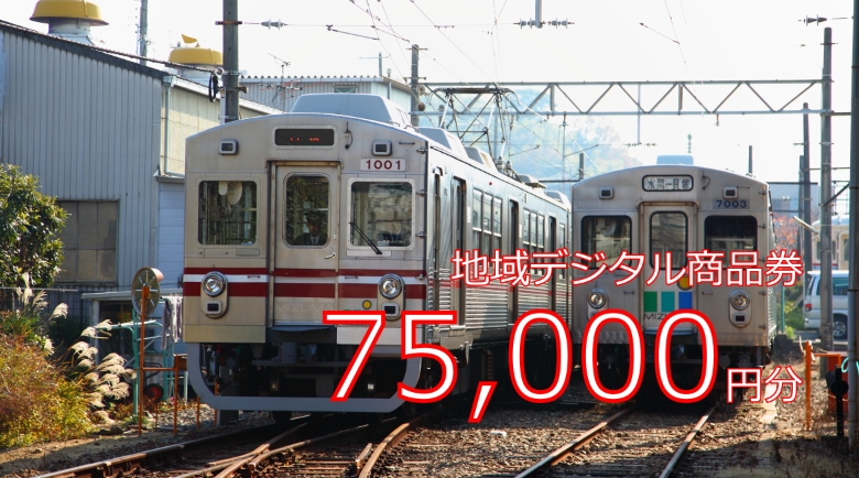 地域デジタル商品券