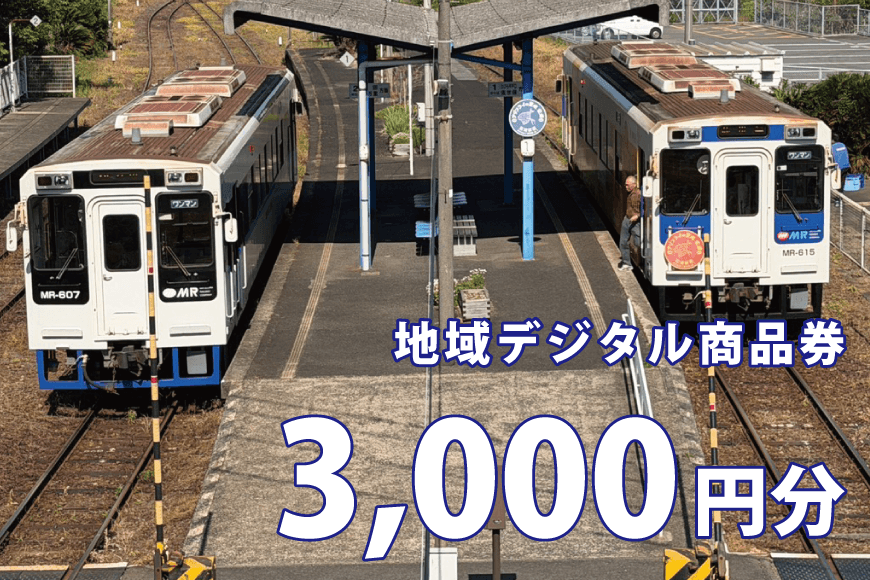 地域デジタル商品券