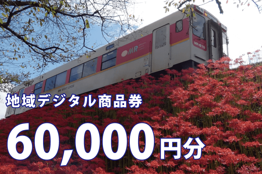 地域デジタル商品券