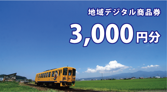 地域デジタル商品券