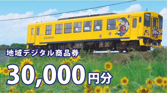 地域デジタル商品券