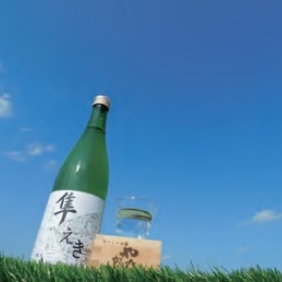 商品イメージ
